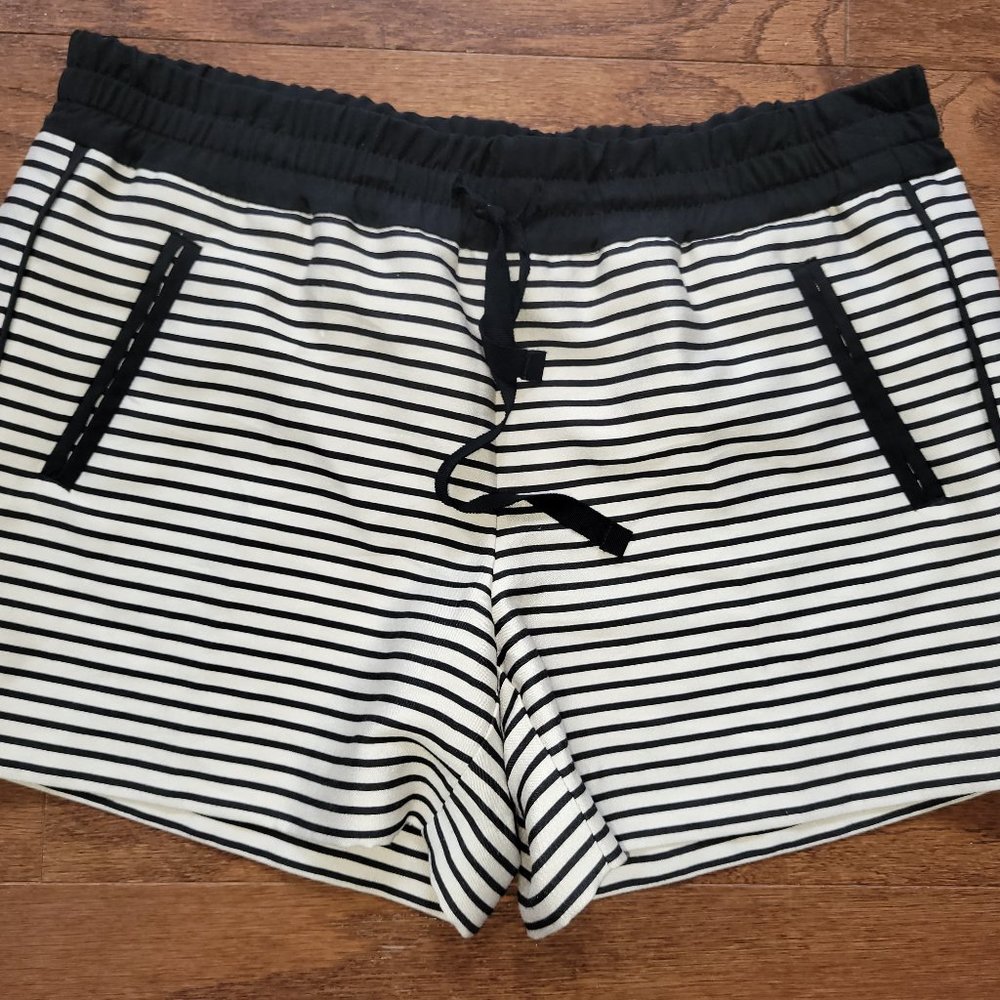 Loft Black and Ivory Shorts - 4
